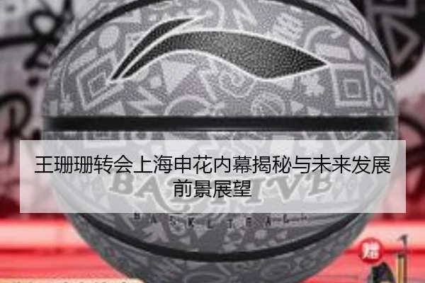 王珊珊转会上海申花内幕揭秘与未来发展前景展望